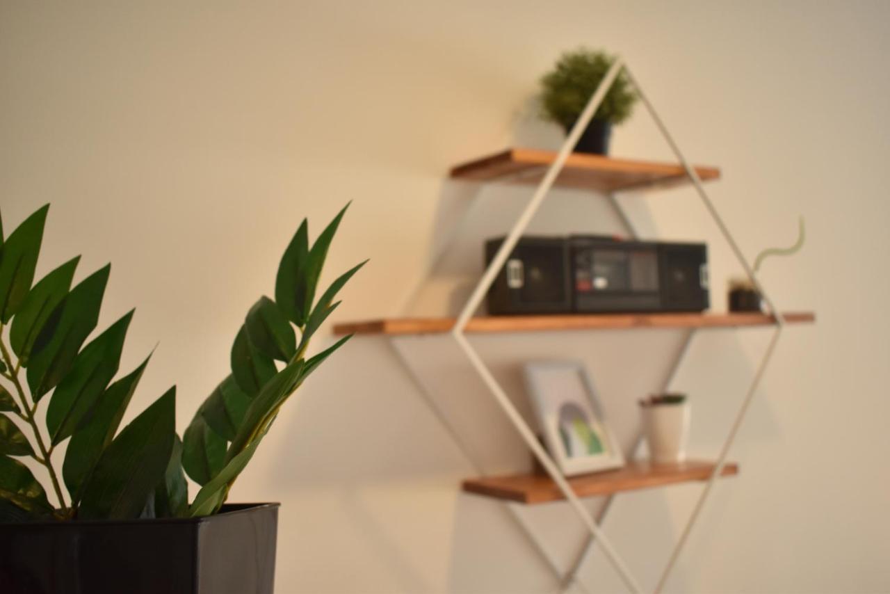 Apartamento Luminosos Y Modernos Departamentos En